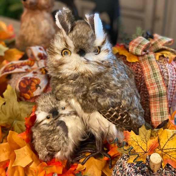 Bargain basement prices 🎉 - Picture 2 of 7